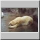 Images\Argentina\Bs.As.-Zoo3.JPG