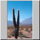 Images\Argentina\Cachi1.JPG