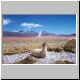 Images\Bolivia\Salar-Laguna Colorada4.JPG