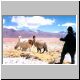 Images\Bolivia\Salar-Laguna Colorada.JPG