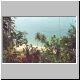 Images\Brasil\Ilha Grande1.JPG
