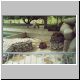 Images\Brasil\Rio de Janeiro-Zoo1.JPG
